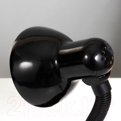 Настольная лампа Risalux 739292