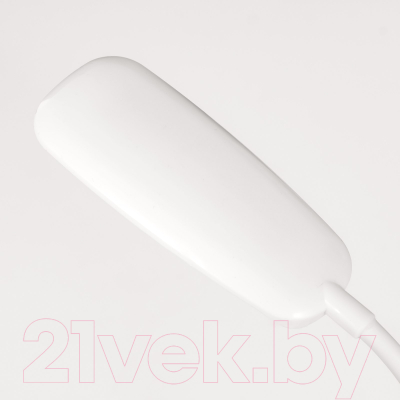 Настольная лампа Risalux Воркер 4301353