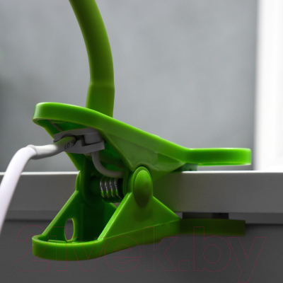 Настольная лампа Risalux 16700/1GR / 6940377