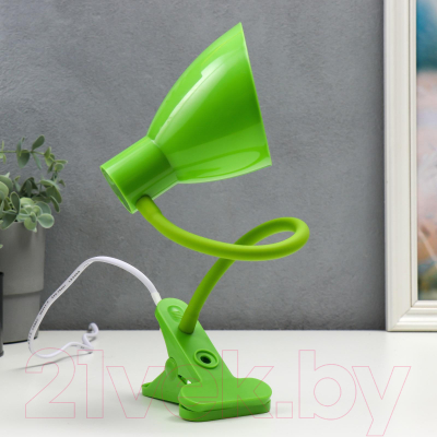 Настольная лампа Risalux 16700/1GR / 6940377