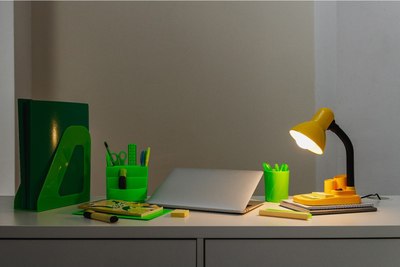 Настольная лампа Risalux Мудрец 4063994