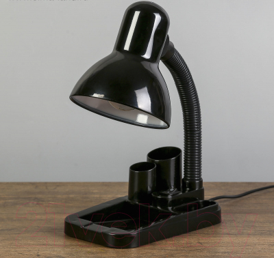 Настольная лампа Risalux Мудрец 4063990