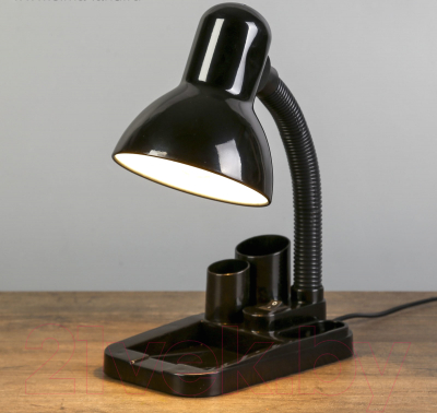 Настольная лампа Risalux Мудрец 4063990