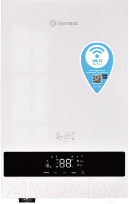 Электрический котел Thermex Boss 12 Wi-Fi - фото