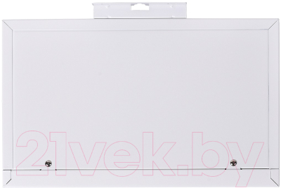 Электрический котел Thermex Boss 12 Wi-Fi