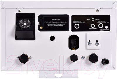 Электрический котел Thermex Boss 12 Wi-Fi