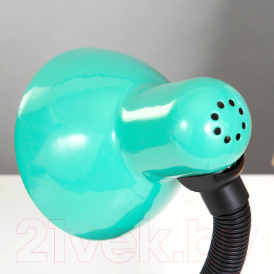 Настольная лампа Risalux 739282