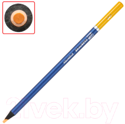 Набор акварельных карандашей Brauberg Art Premiere / 181925