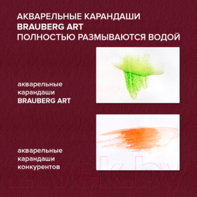 Набор акварельных карандашей Brauberg Art Premiere / 181925