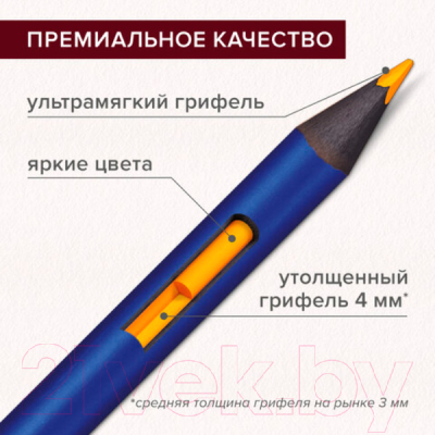 Набор акварельных карандашей Brauberg Art Premiere / 181925