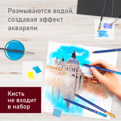 Набор акварельных карандашей Brauberg Art Premiere / 181925