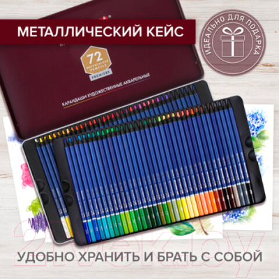 Набор акварельных карандашей Brauberg Art Premiere / 181925