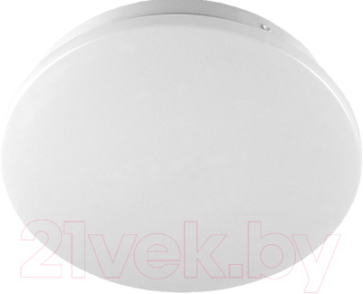 Потолочный светильник General Lighting Bianca-2 GSMCL-022-12 / 800265 - фото