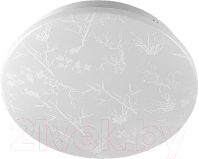 Потолочный светильник General Lighting Plant GSMCL-020-24 / 800261 - фото