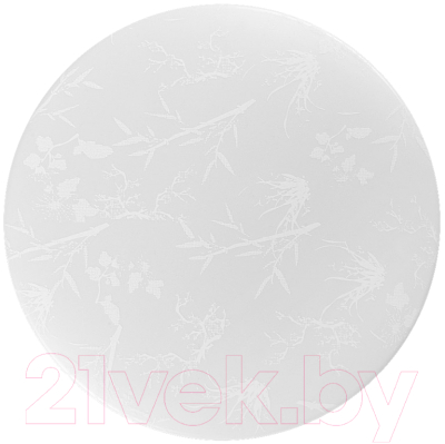 Потолочный светильник General Lighting Plant GSMCL-020-24 / 800261