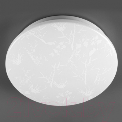 Потолочный светильник General Lighting Plant GSMCL-020-24 / 800261