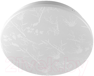 Потолочный светильник General Lighting Plant GSMCL-020-18 / 800260 - фото