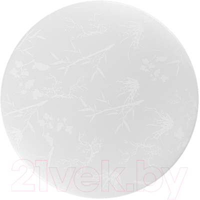 Потолочный светильник General Lighting Plant GSMCL-020-18 / 800260