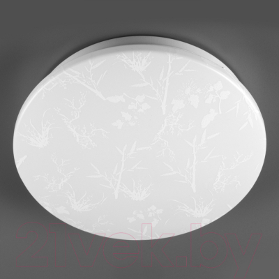 Потолочный светильник General Lighting Plant GSMCL-020-18 / 800260