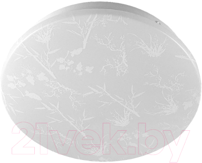 Потолочный светильник General Lighting Plant GSMCL-020-12 / 800259 - фото