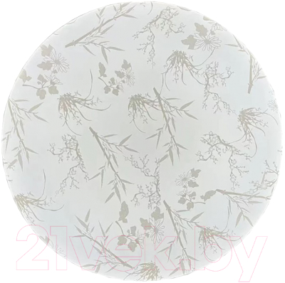 Потолочный светильник General Lighting Plant GSMCL-020-12 / 800259