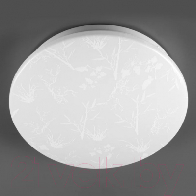 Потолочный светильник General Lighting Plant GSMCL-020-12 / 800259