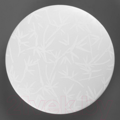 Потолочный светильник General Lighting Bamboo GSMCL-014-24 / 800243