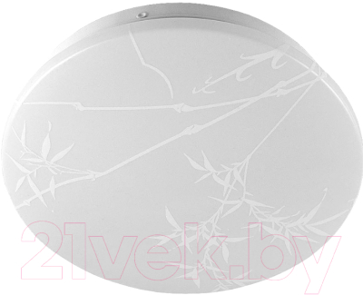 Потолочный светильник General Lighting Reed GSMCL-019-12 / 800256 - фото