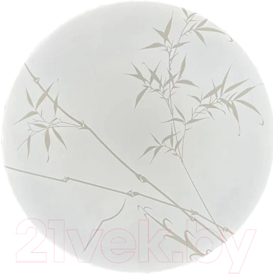 Потолочный светильник General Lighting Reed GSMCL-019-12 / 800256