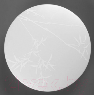 Потолочный светильник General Lighting Reed GSMCL-019-12 / 800256