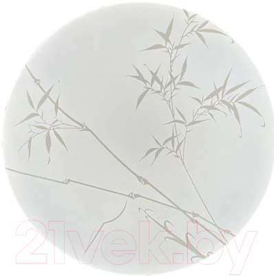 Потолочный светильник General Lighting Reed GSMCL-019-24 / 800258