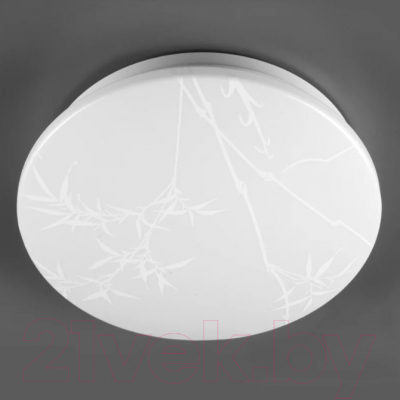 Потолочный светильник General Lighting Reed GSMCL-019-24 / 800258