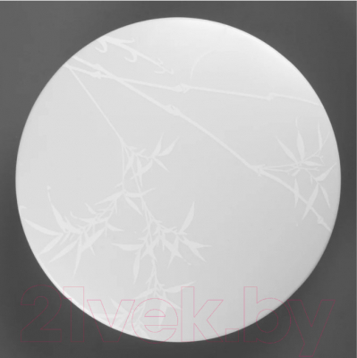 Потолочный светильник General Lighting Reed GSMCL-019-24 / 800258