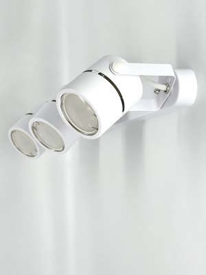 Спот Truenergy 21357