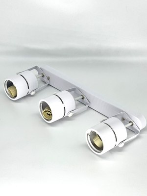 Спот Truenergy 21357