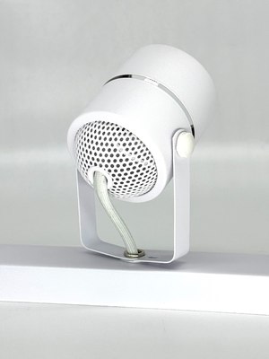 Спот Truenergy 21357