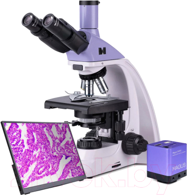 Микроскоп оптический Magus Bio D250TL LCD / 83011 - фото