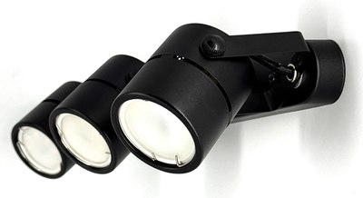 Спот Truenergy 21356