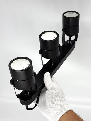 Спот Truenergy 21356