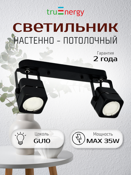 Спот Truenergy 21355