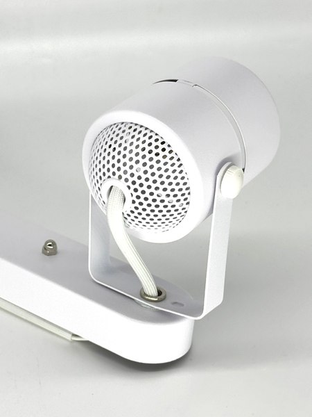 Спот Truenergy 21354