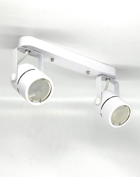 Спот Truenergy 21354