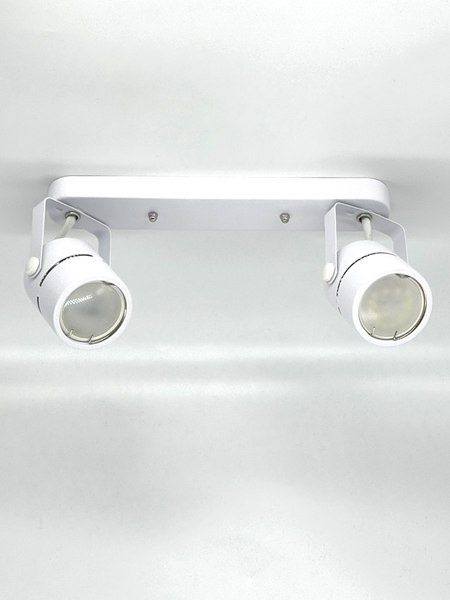 Спот Truenergy 21354