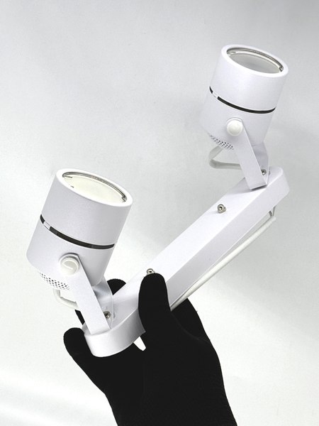 Спот Truenergy 21354