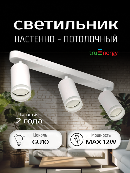 Спот Truenergy 21367