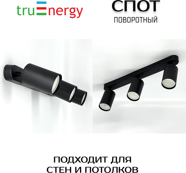 Спот Truenergy 21362
