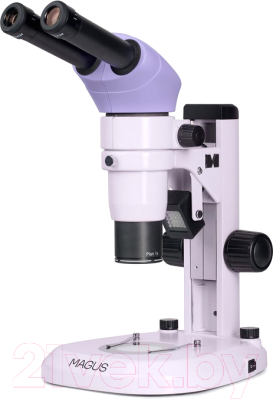 Микроскоп оптический Magus Stereo A8 / 83488 - фото