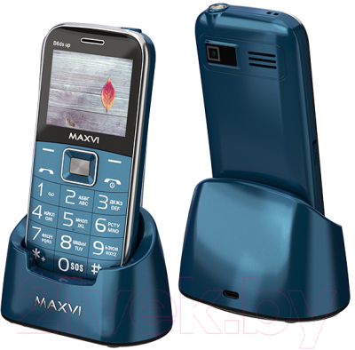 Мобильный телефон Maxvi B6ds up - фото