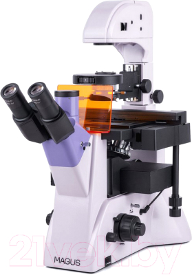 Микроскоп оптический Magus Lum V500L / 82909 - фото