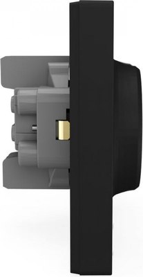 Розетка Tokov Electric Pixel TKE-PX-R2FZSF-C14